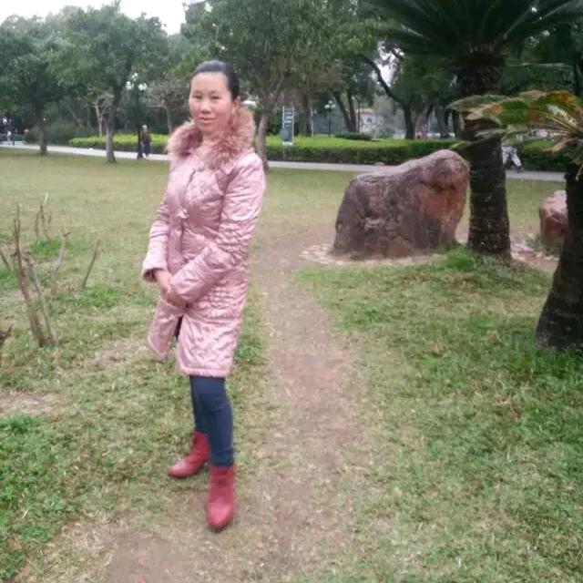 杨会会