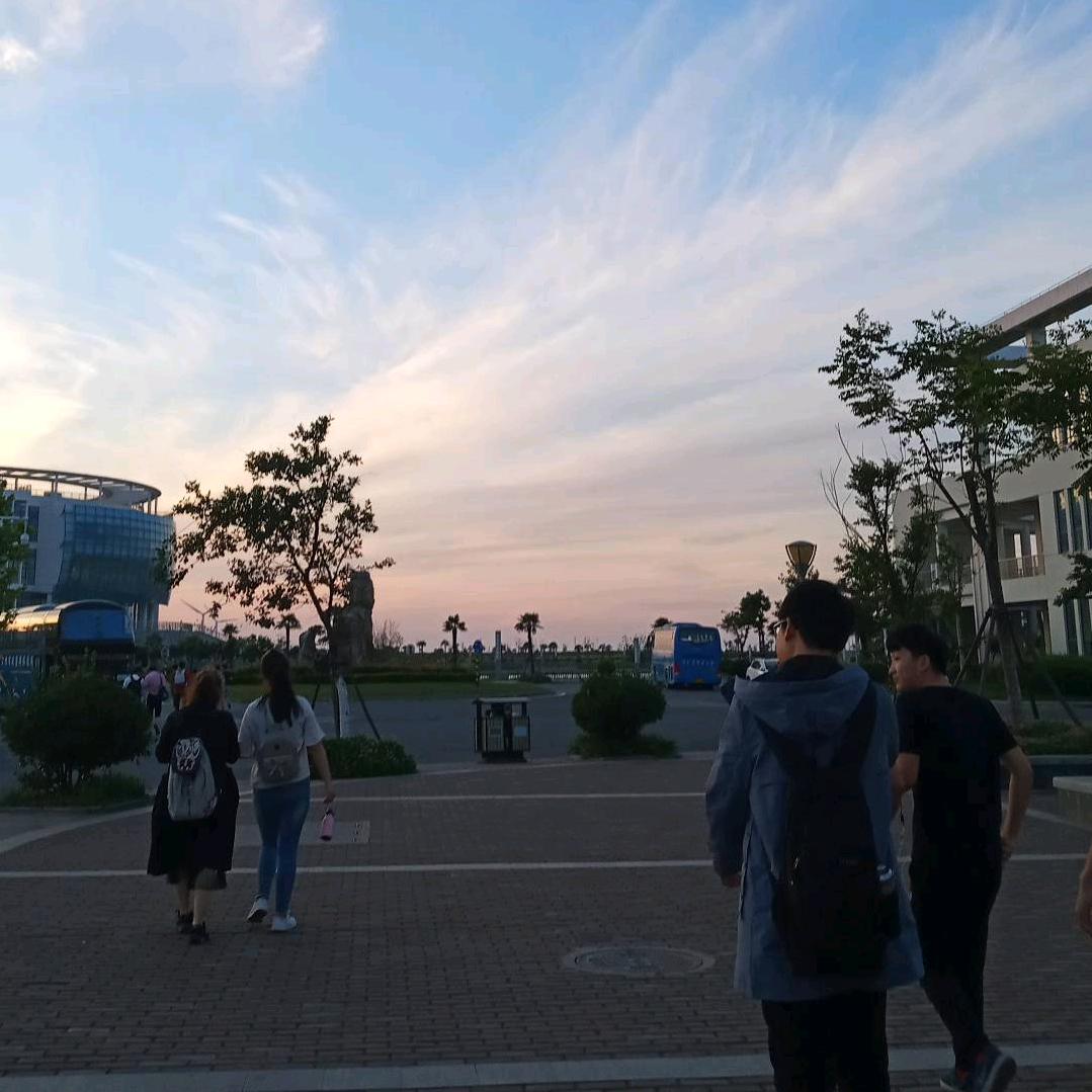 慕向·南枝