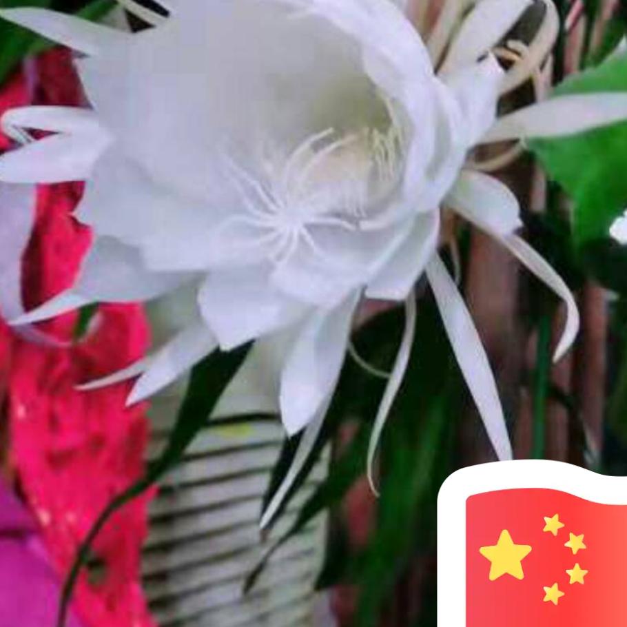 💞吴℘࿐ᩚ郦℘࿐ᩚ