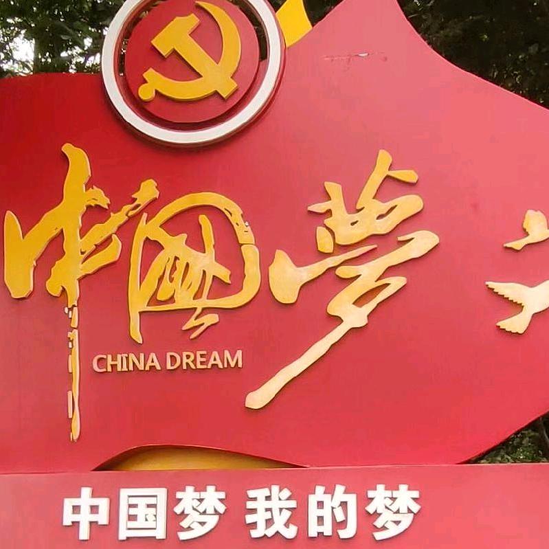 自由飞翔