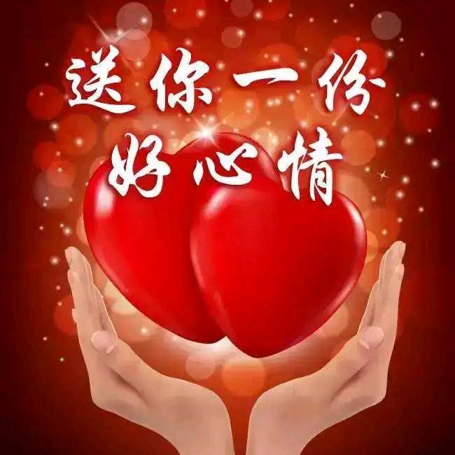 兰花姐姐👍👍👍🌹🌹