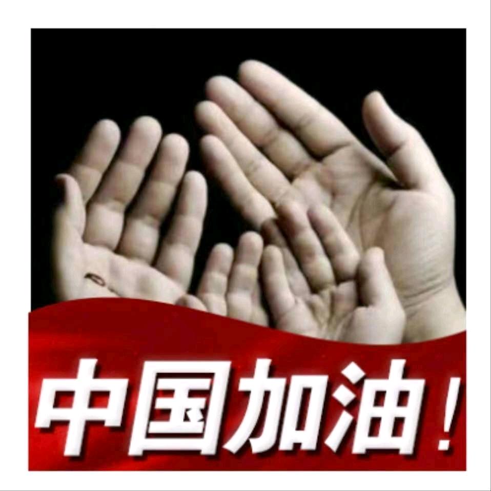 鸿雁