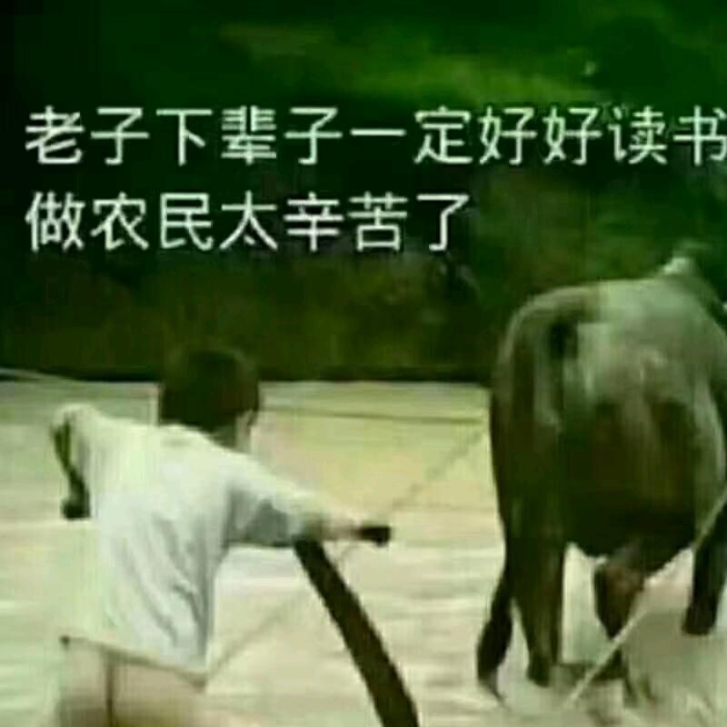 🚴‍♂️🚴‍♂️🚴‍♂️🚴‍♂️