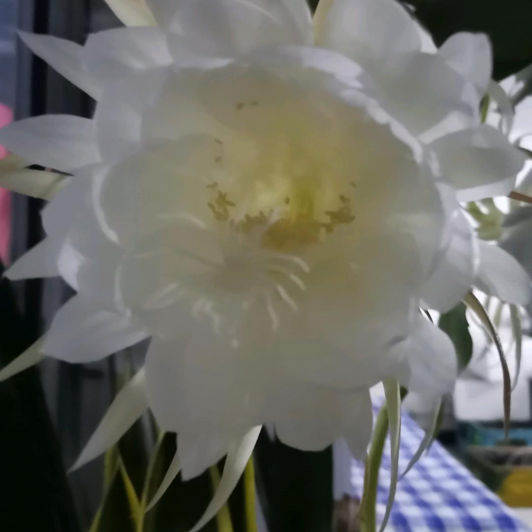 默默前行