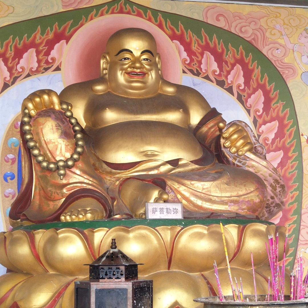 子木林