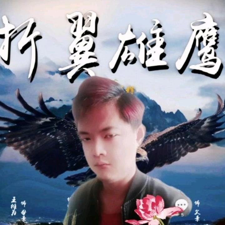 折翼@雄鹰