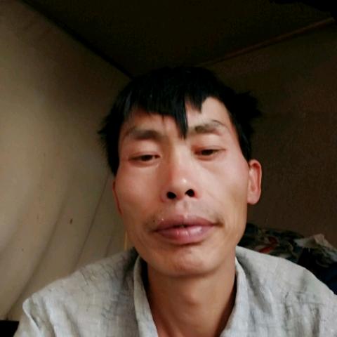 飘摇人生