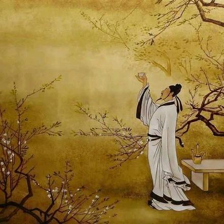 皓月当空八百里