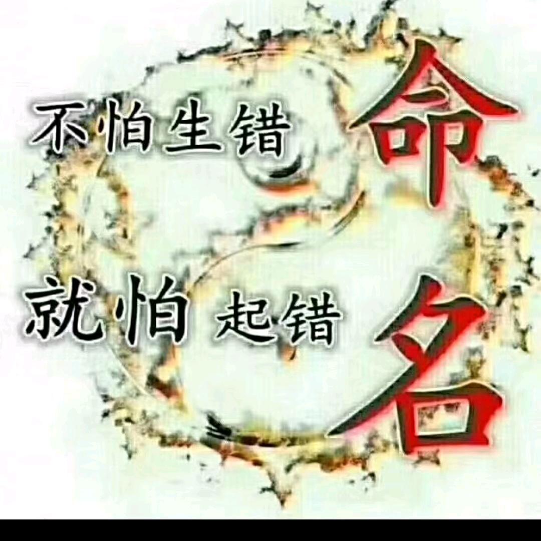 天龙命名馆网上查询