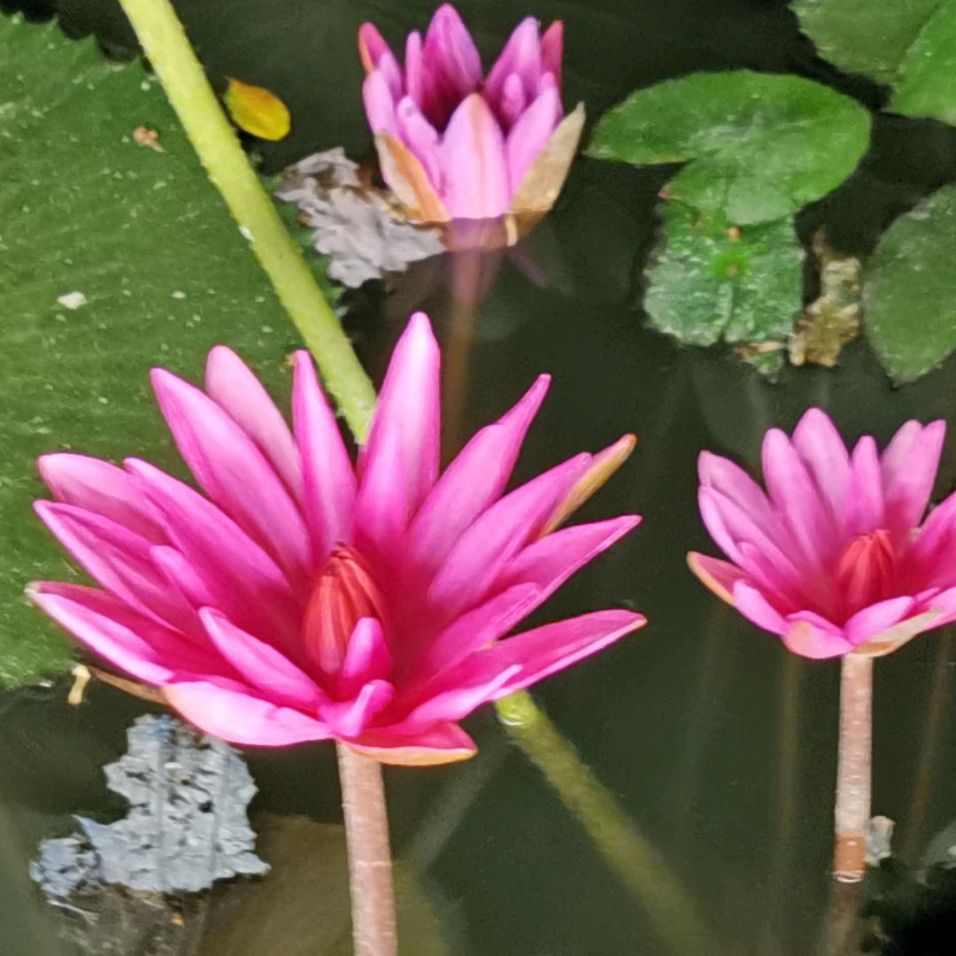 💋四季💕平安❤💕