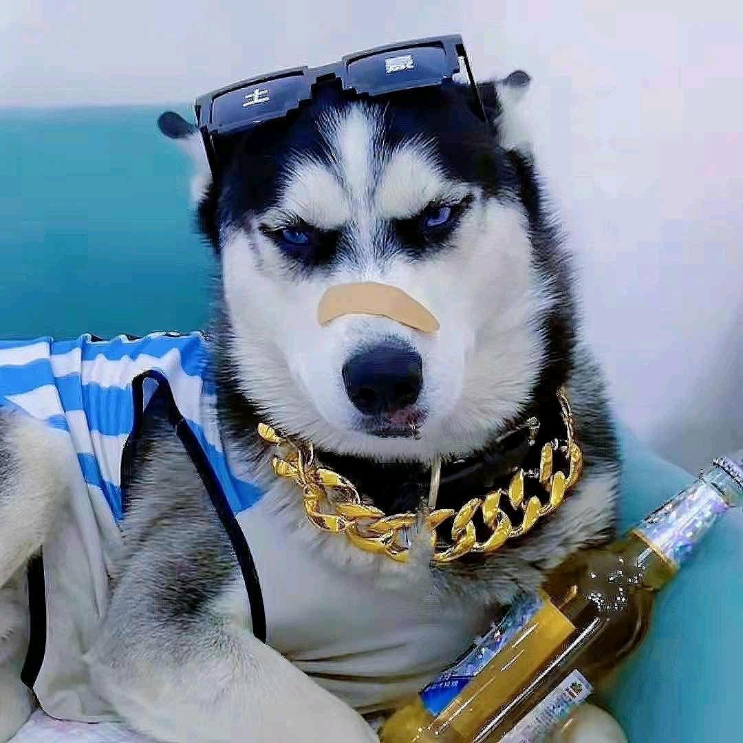 呀嘞呀嘞