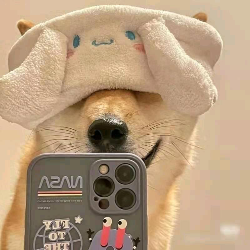 想吃小菠萝