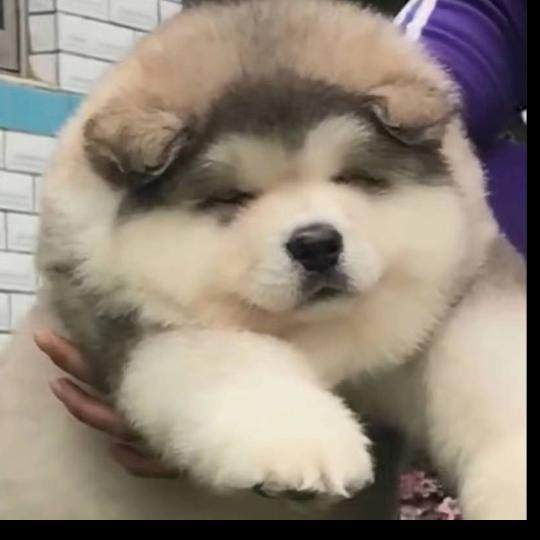 像风一样的男子！