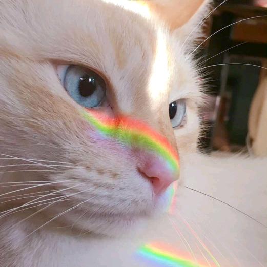 🐟金同学ᯤ ⁵ᴳ