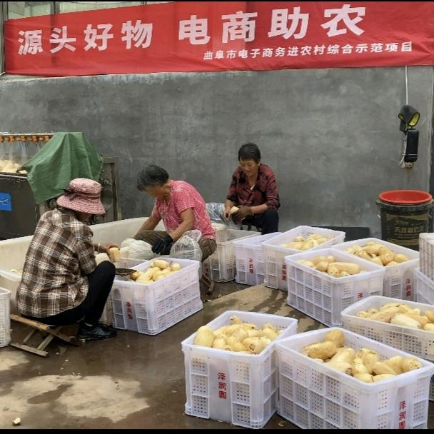 大学生助力乡村振兴
