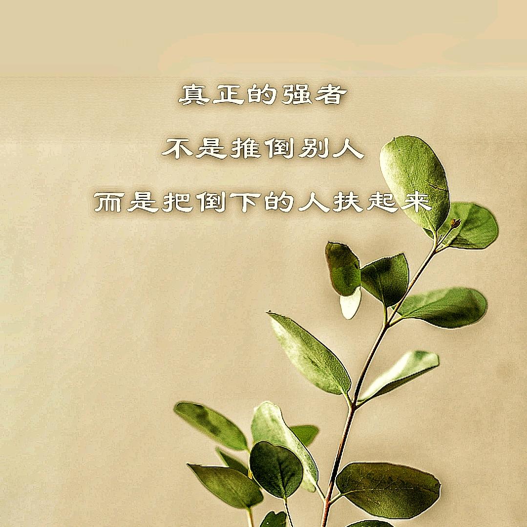 悉见