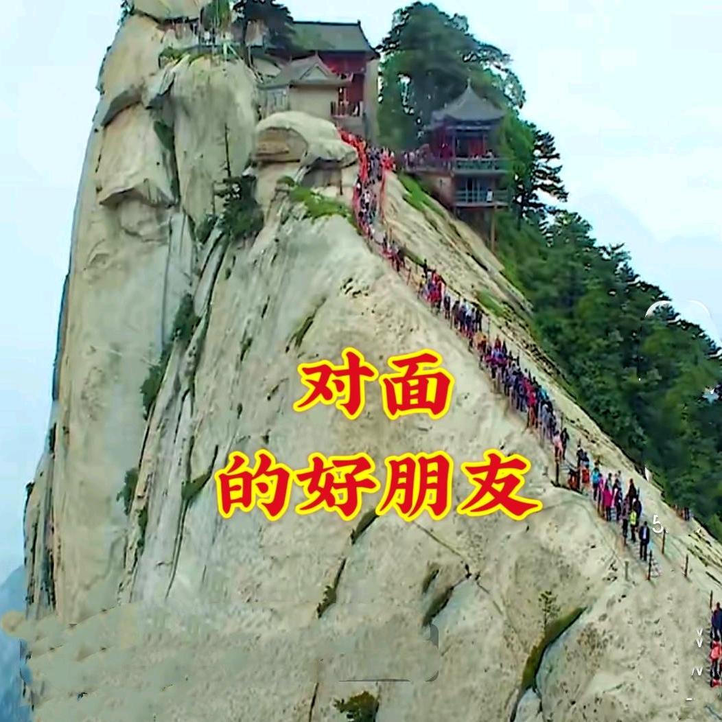 挽手愈生