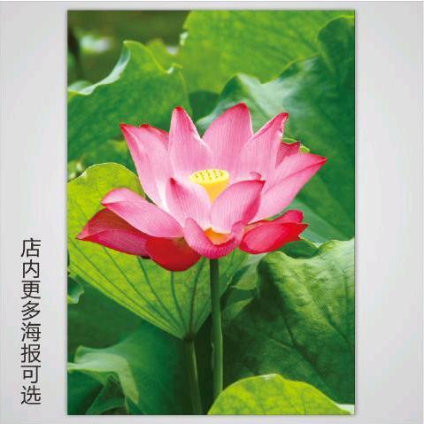 大哥哥VS思念