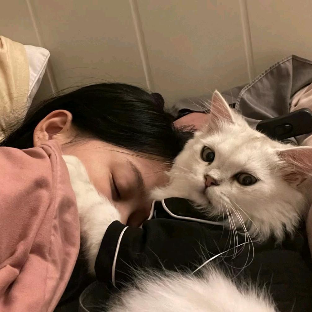 迪娜丫