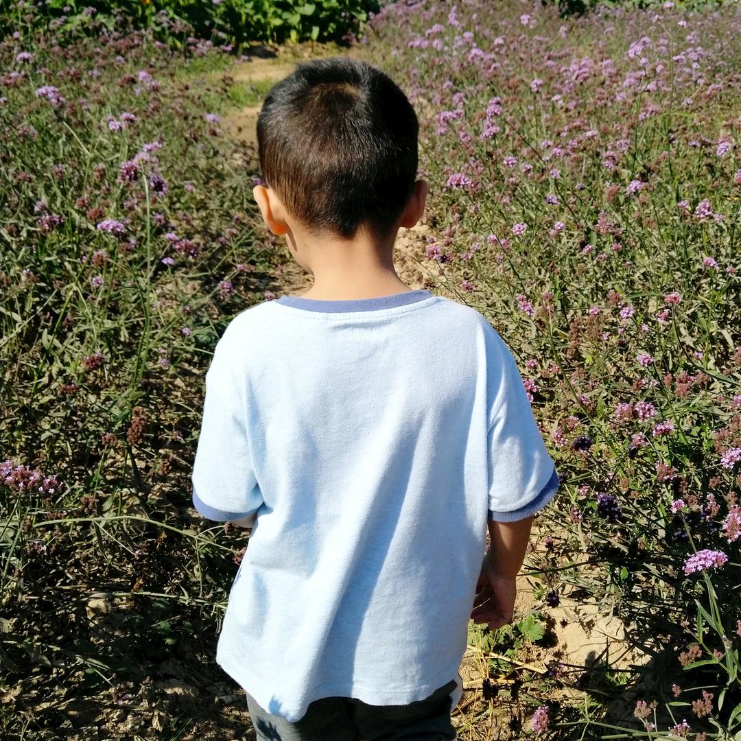 大帅的father