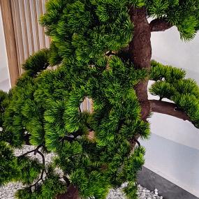 草飞