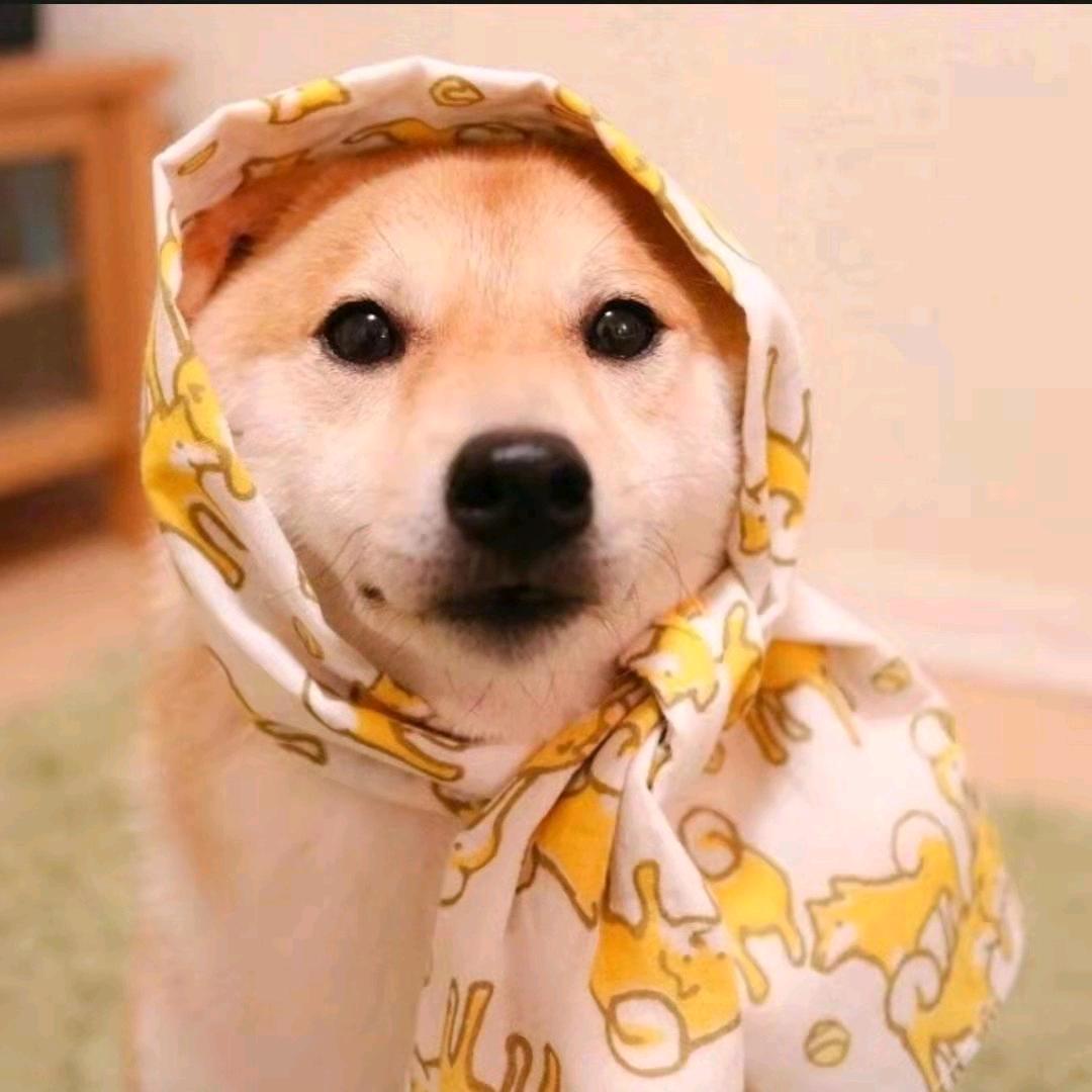 小温来喽