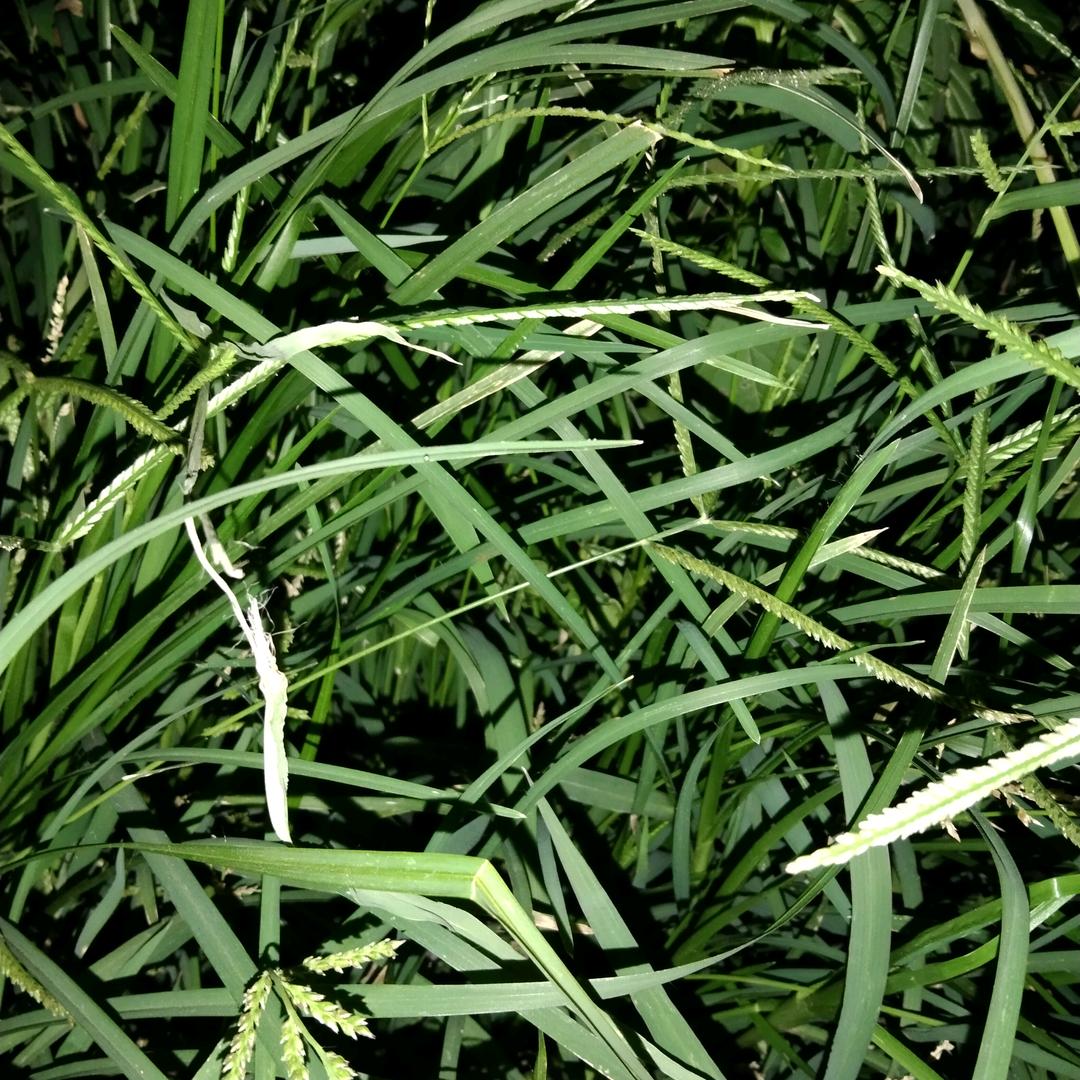 骑着蜗牛去赶集