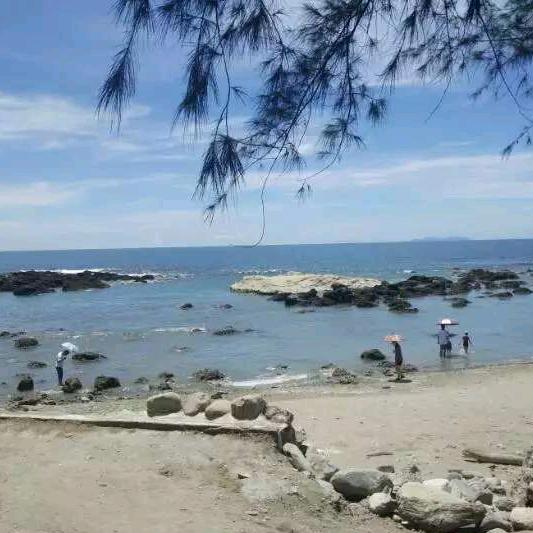 春梅的未来不是梦