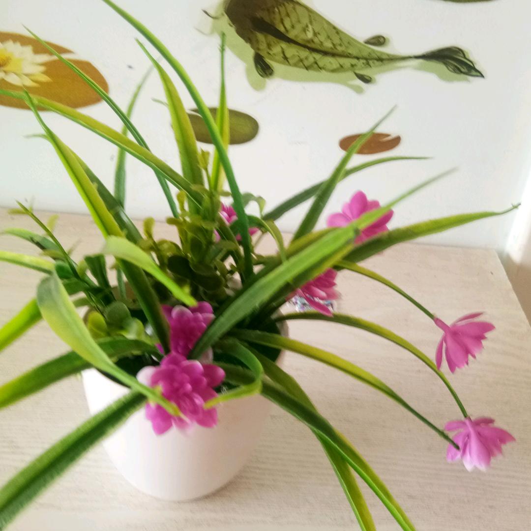 桥天辣
