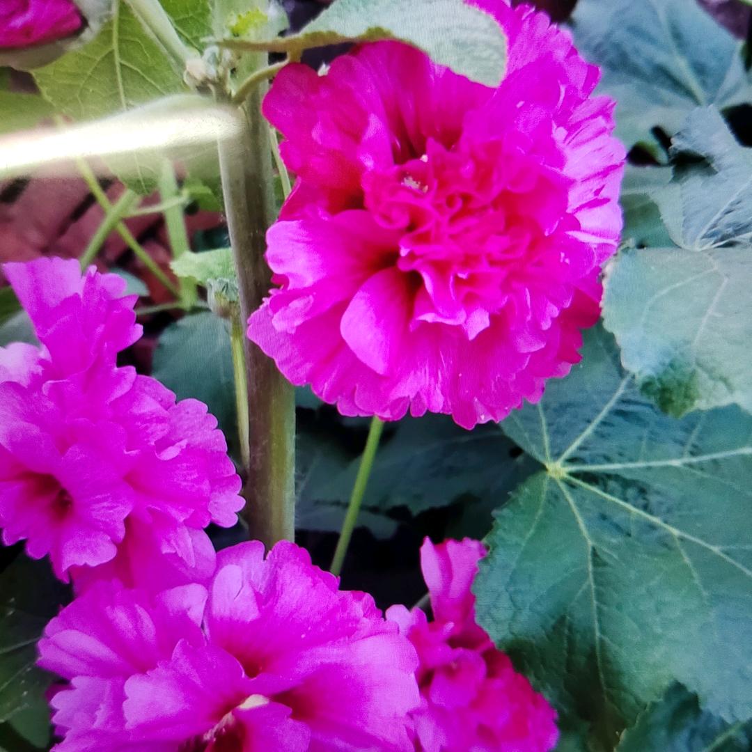 ❤️( っ'-')╮ =͟͟͞͞🏀