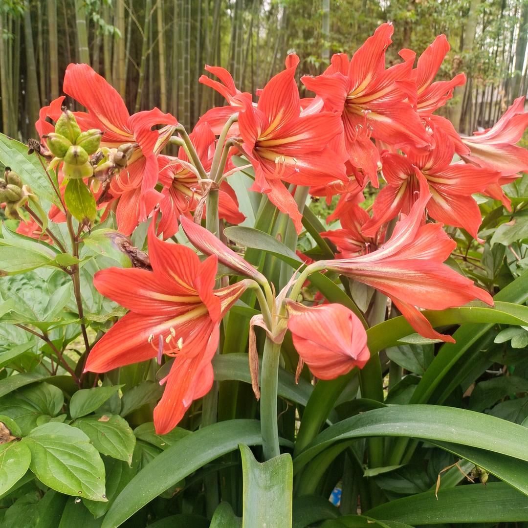 ❤️❤️等你回来🌹🌹