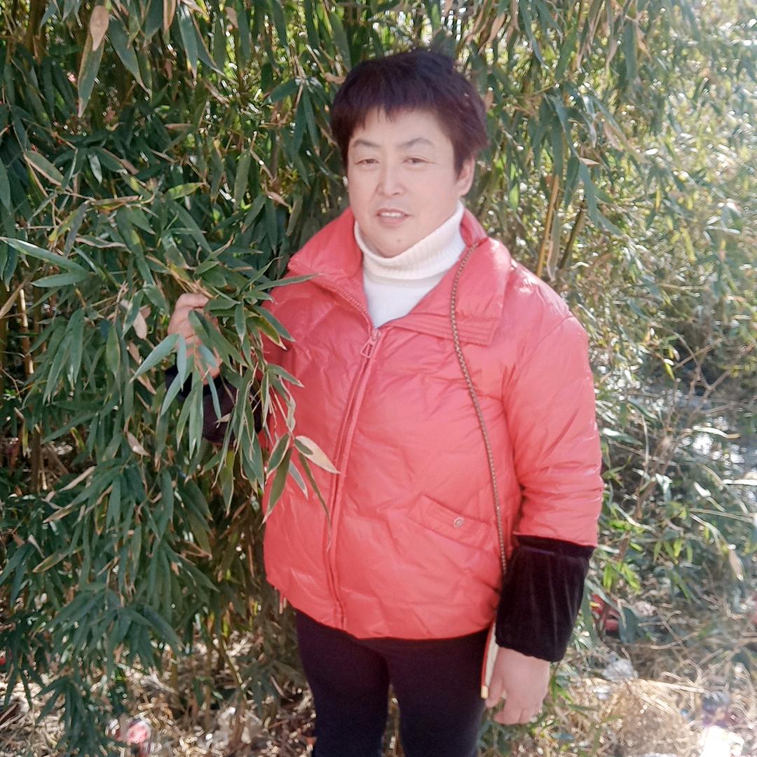 高家三千金