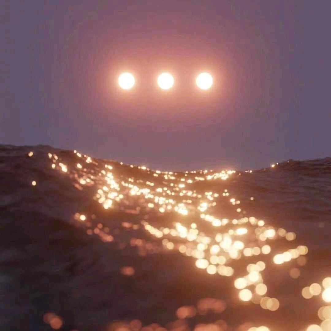 寒自瑾