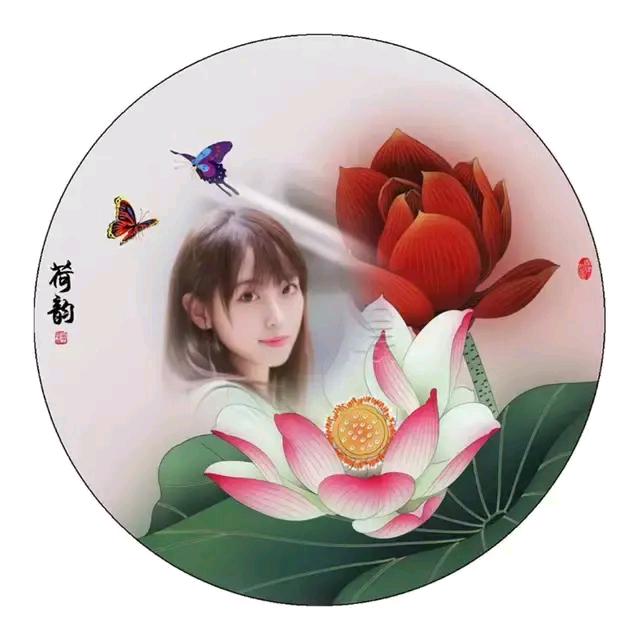 💞贵姐💞