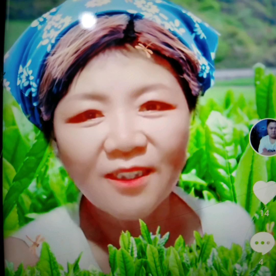 侠姐