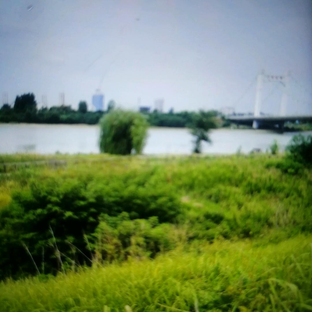 王永港