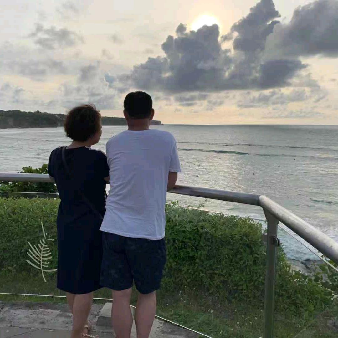 雁南飞