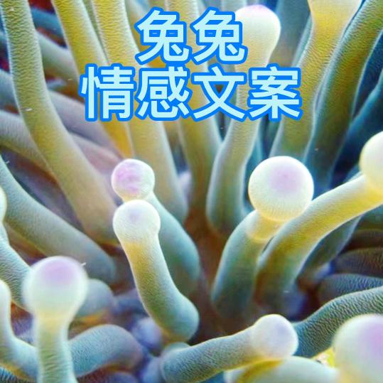 好人平安