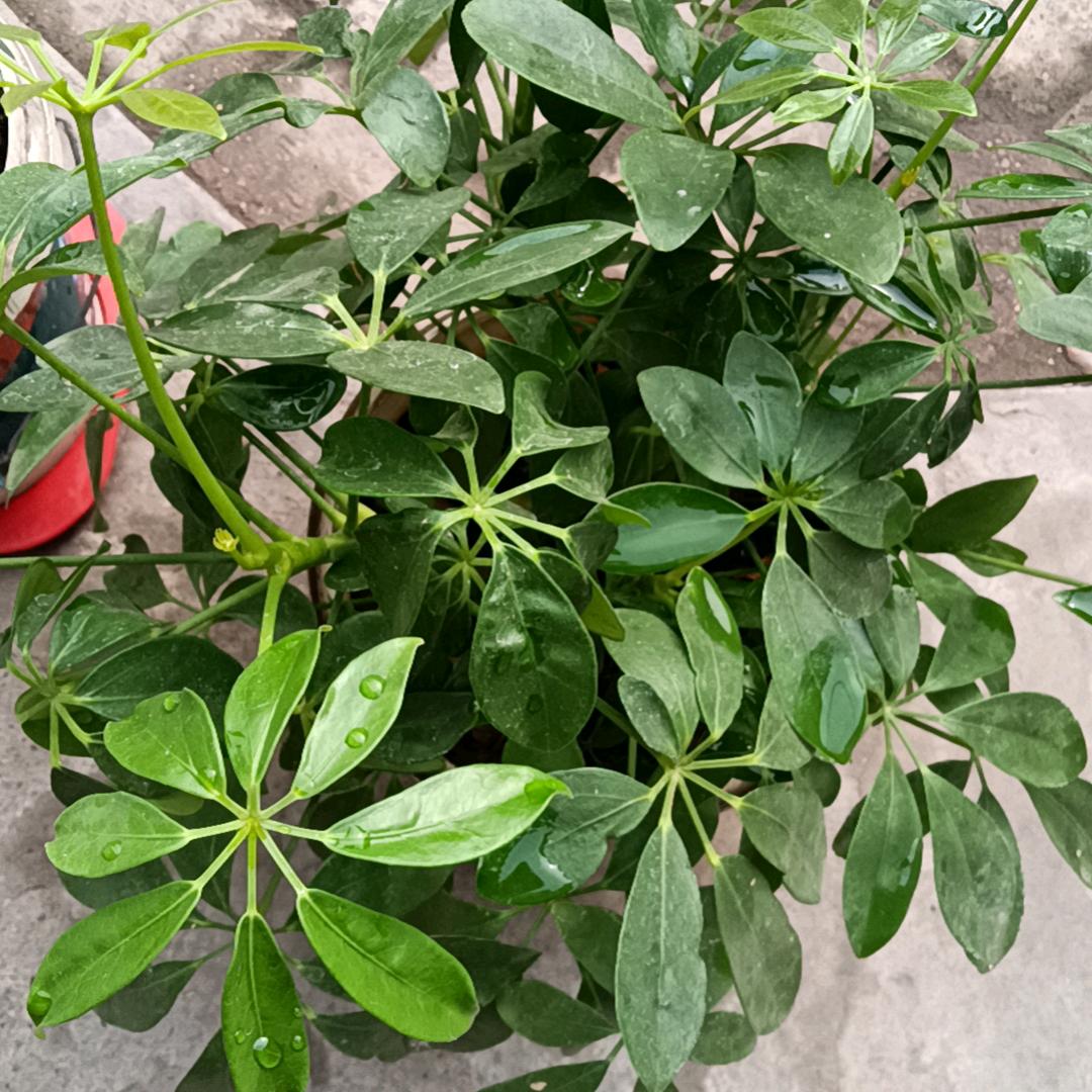 一切顺其自然