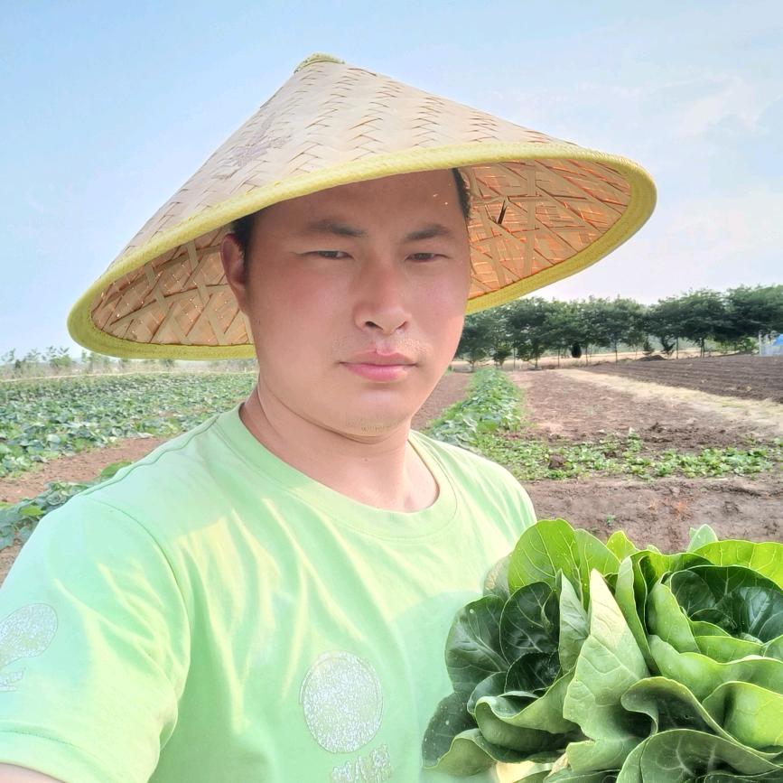 滁城甜甜黑猪