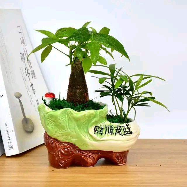 平安快乐