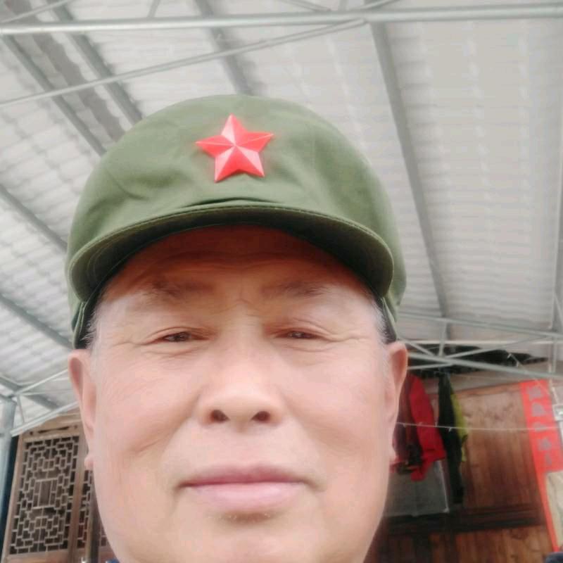老杨