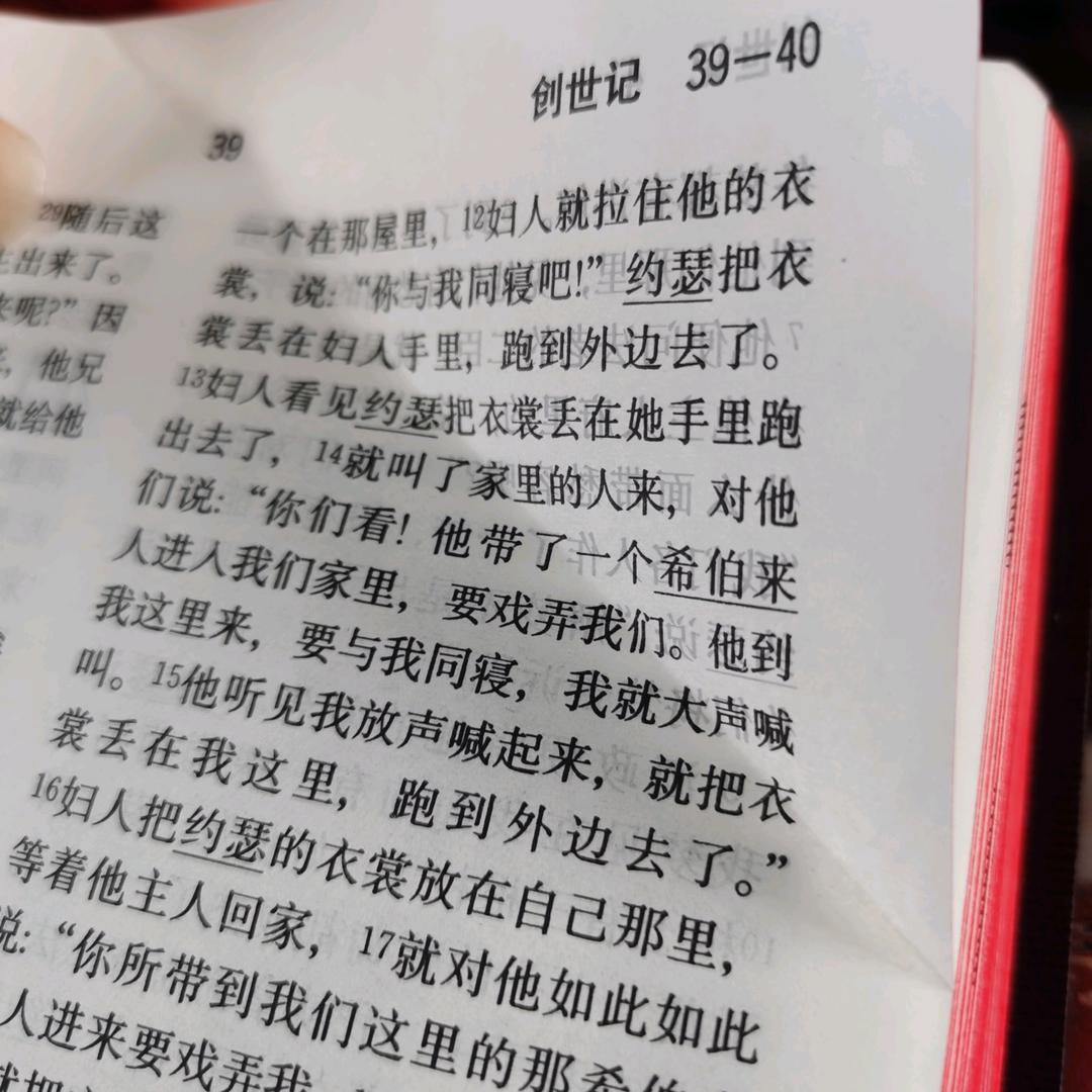 墨墨