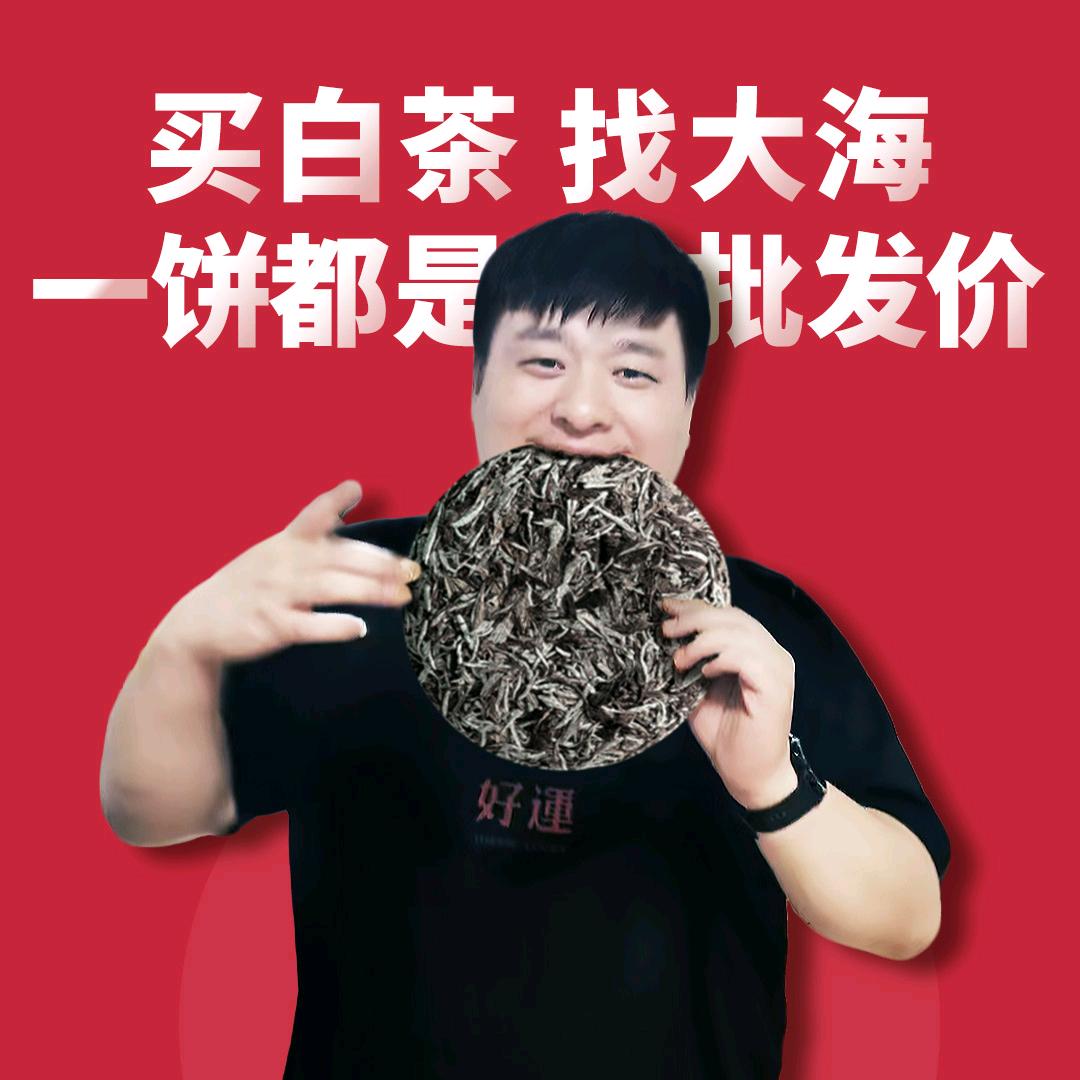 海大富的茶友们