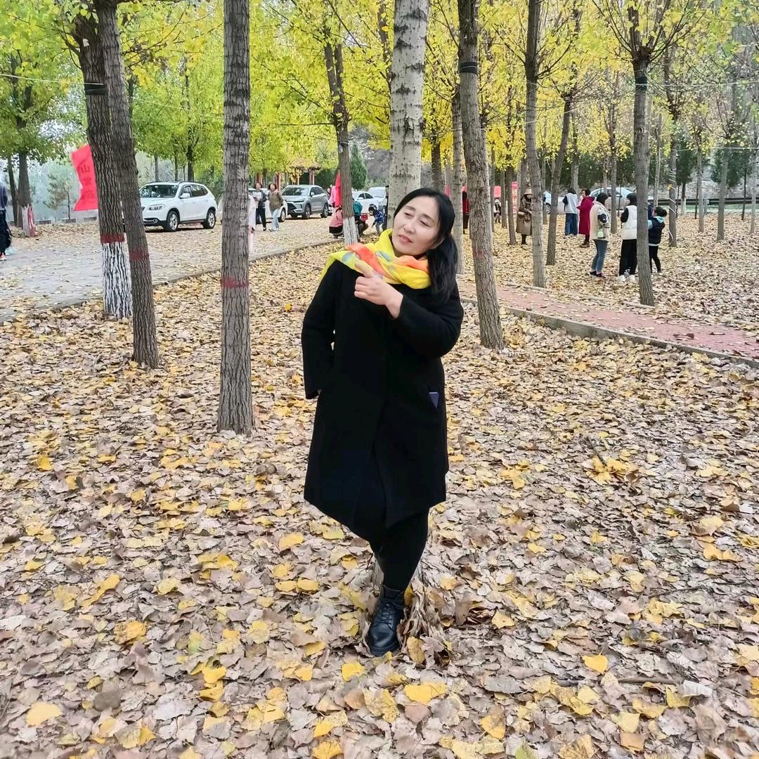 木子🌻