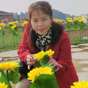 文二妹小兔子🐇