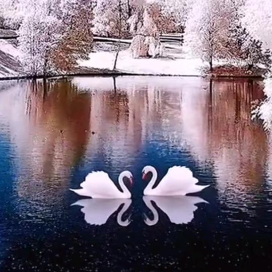 💞