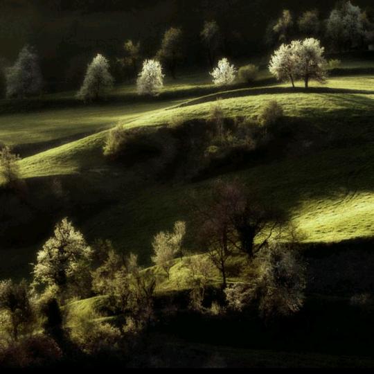 新日电动车(仓山1店)专用号