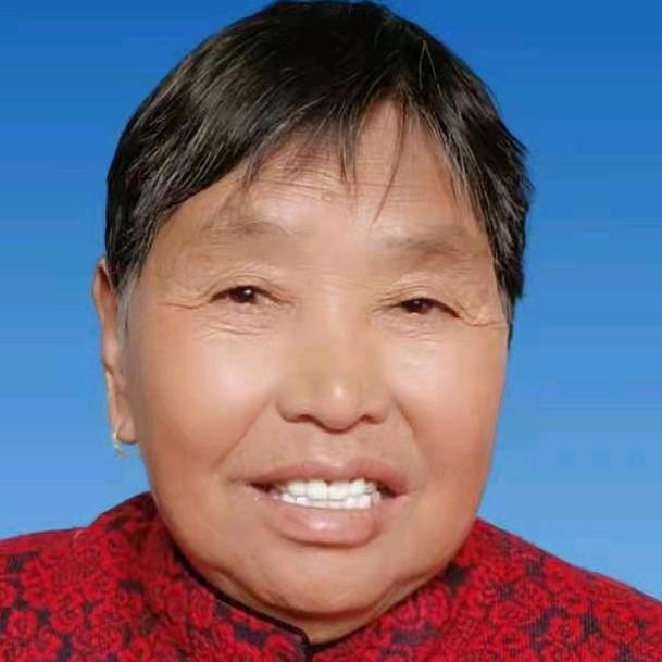 开心刘大妈