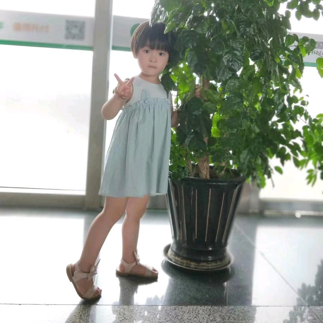 紫罗兰
